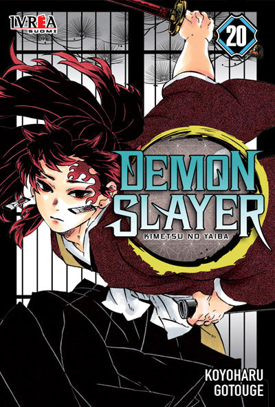 Demon Slayer - Kimetsu no Yaiba 20