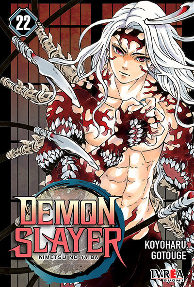 Demon Slayer - Kimetsu no Yaiba 22